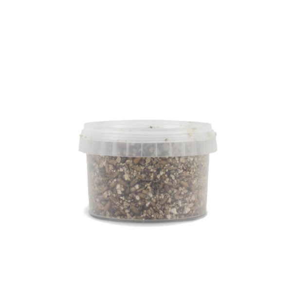 Buy Sterile Magic Mushroom substrate kit for Psilocybe Cubensis Small