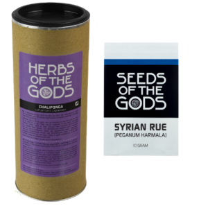 Buy Intense Ayahuasca Herbs - Syrian Rue & Chaliponga