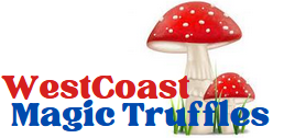 magic mushroom grow kits