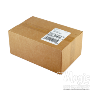 Buy Magic Mushroom Grow Kit B+ XP by FreshMushrooms® Online.