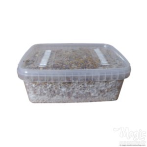 Buy Cambodian Magic mushrooms grow kit GetMagic online. 