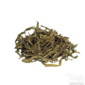 Buy Sinicuichi | Heimia salicifolia Online.