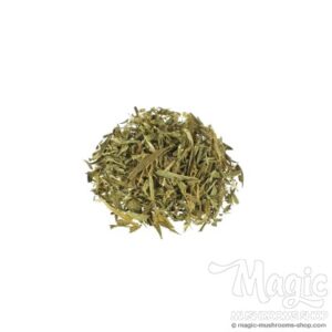 Buy Maconha Brava (Zornia latifolia) Fake Marihuana Online.