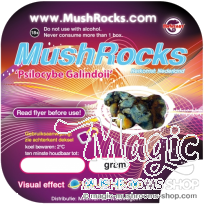 Buy Magic Truffles Galindoi Mushrocks | Natural psilocybin Truffles Online.