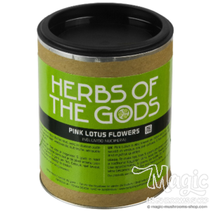 Buy Pink Lotus | Nelumbo Nucifera online.