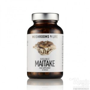 Buy Maitake Grifola frondosa Mushroom Capsules Mushrooms4life Online.
