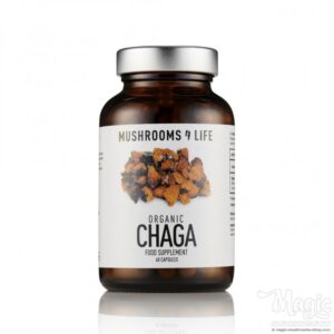 Buy Chaga (Inonotus Obliquus) Mushroom Capsules | Mushrooms4life Online.