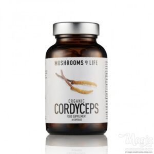 Buy Cordyceps Mushroom Supplement Capsules | Mushrooms4life Online.