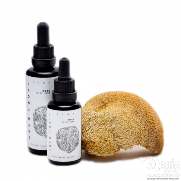 Buy Lion's Mane mushroom tincture - KÄÄPÄ Health Online.