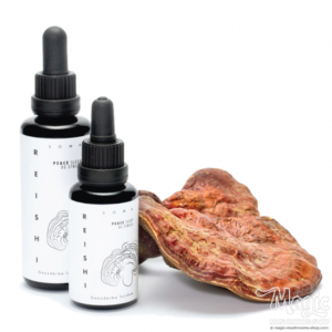 Buy Reishi mushroom tincture - KÄÄPÄ Health Online.