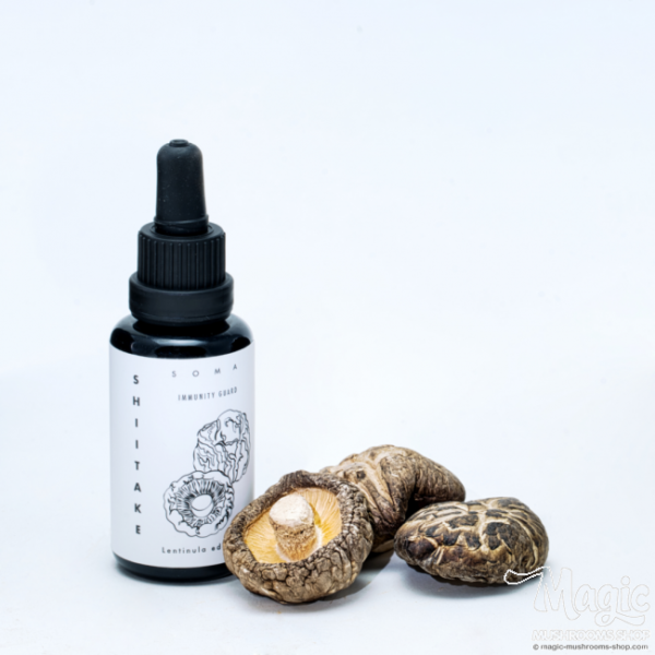 Buy Shiitake mushroom tincture - Lentinula edodes extract | KÄÄPÄ Health Online.